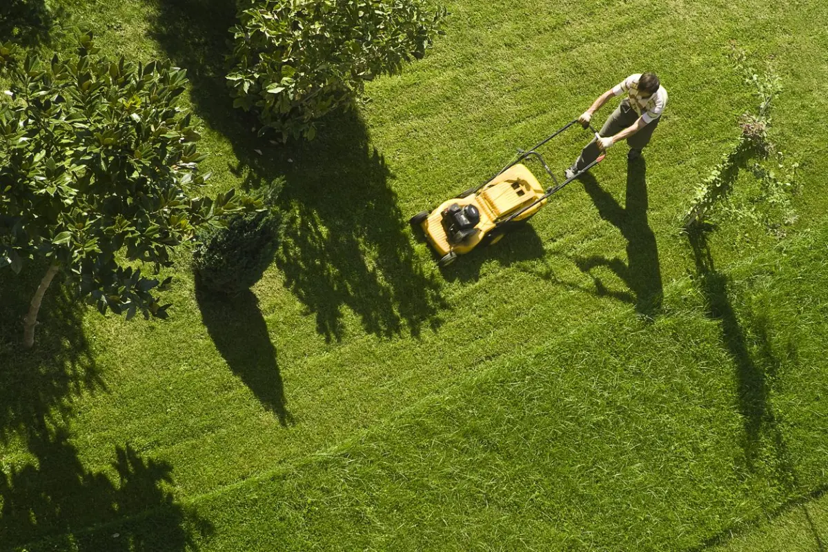 Sprinkler head watering a lawn